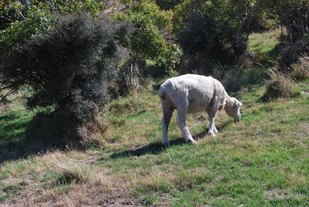 20180215_185050900_iOS